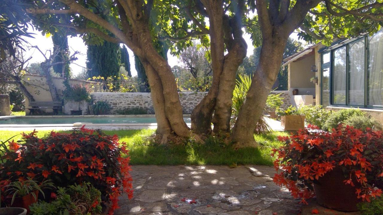 דירות Buisson Sous Le Figuier... מראה חיצוני תמונה