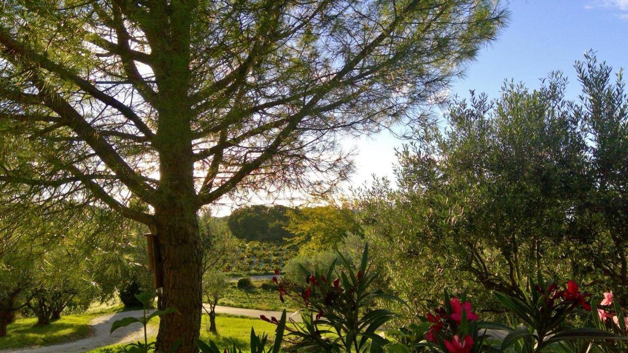 דירות Buisson Sous Le Figuier... מראה חיצוני תמונה